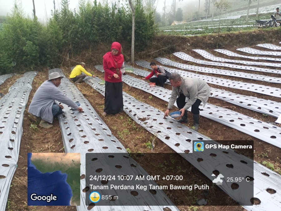 Gambar Berita