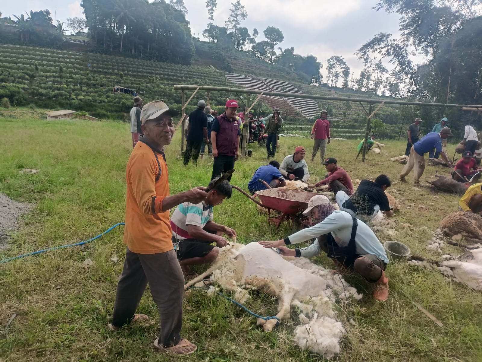 Gambar Berita